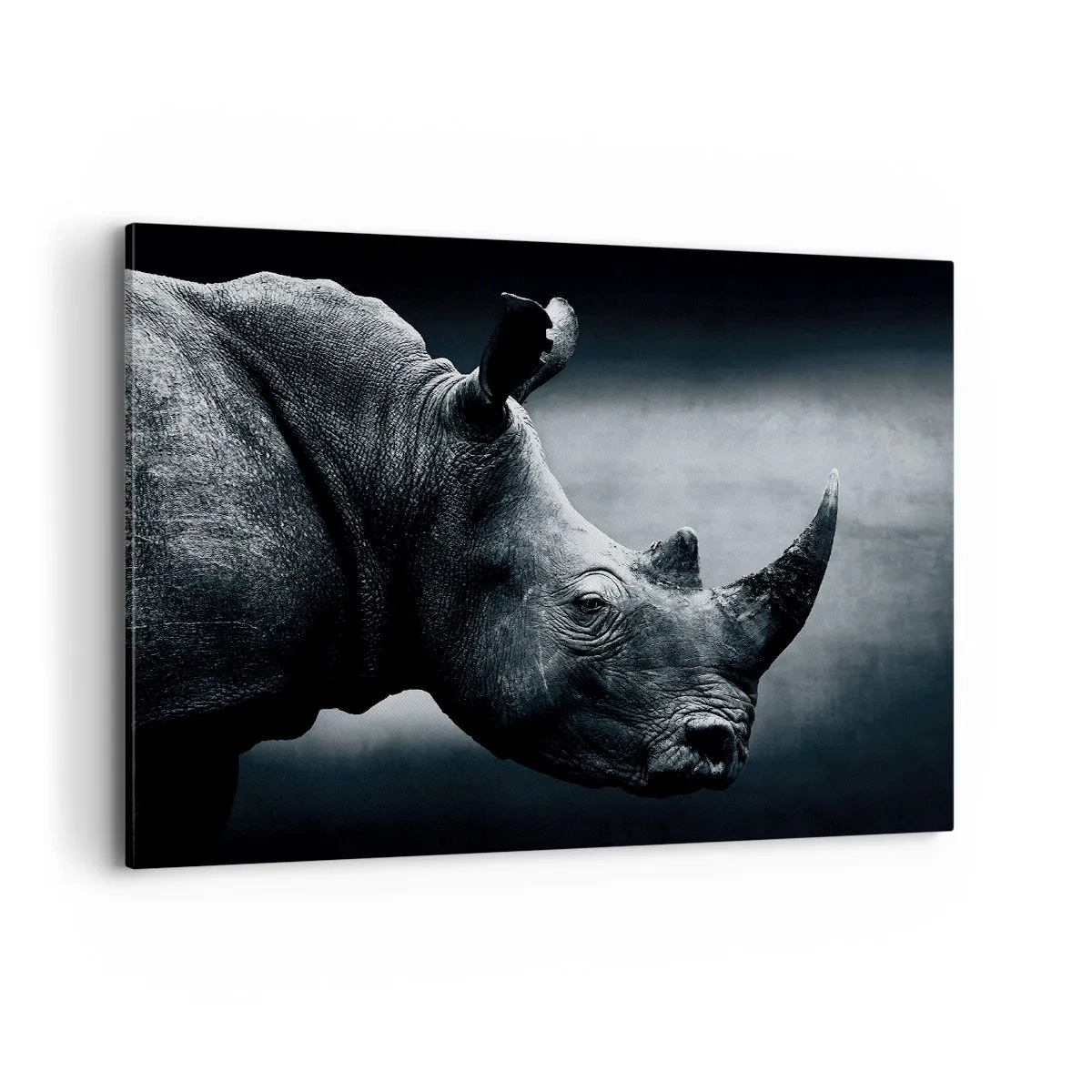 Bild auf Leinwand - Leinwandbild - Schwarz-Weiß-Porträt eines Nashorns vor dunklem Hintergrund - 100x70cm - Richtiges Profil - Moderne Wanddekoration für Wohnzimmer und Schlafzimmer ARTTOR
