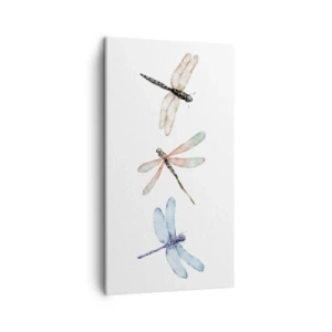 Bild auf Leinwand - Leinwandbild - Schwerelose Libellen - 45x80 cm