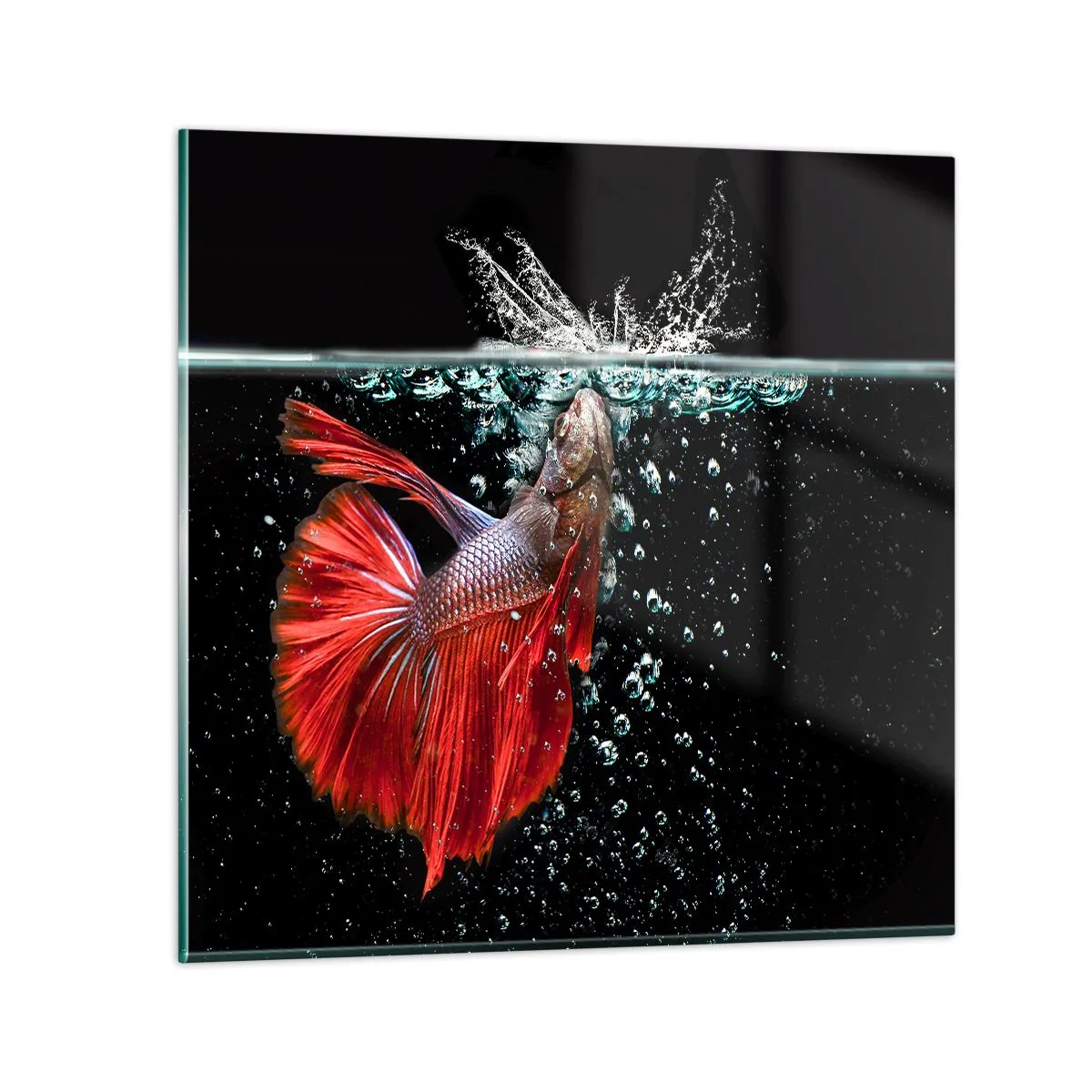 Glasbild - Bild auf glas - Du hast drei Wünsche - 70x70 cm