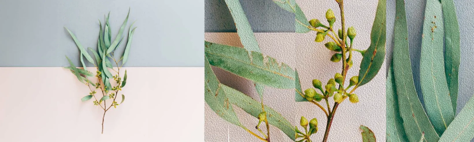 Fototapeten Muster Premium Sand - Pastellige Subtilität - Pastell, Anlage, Boho - 100x30 cm