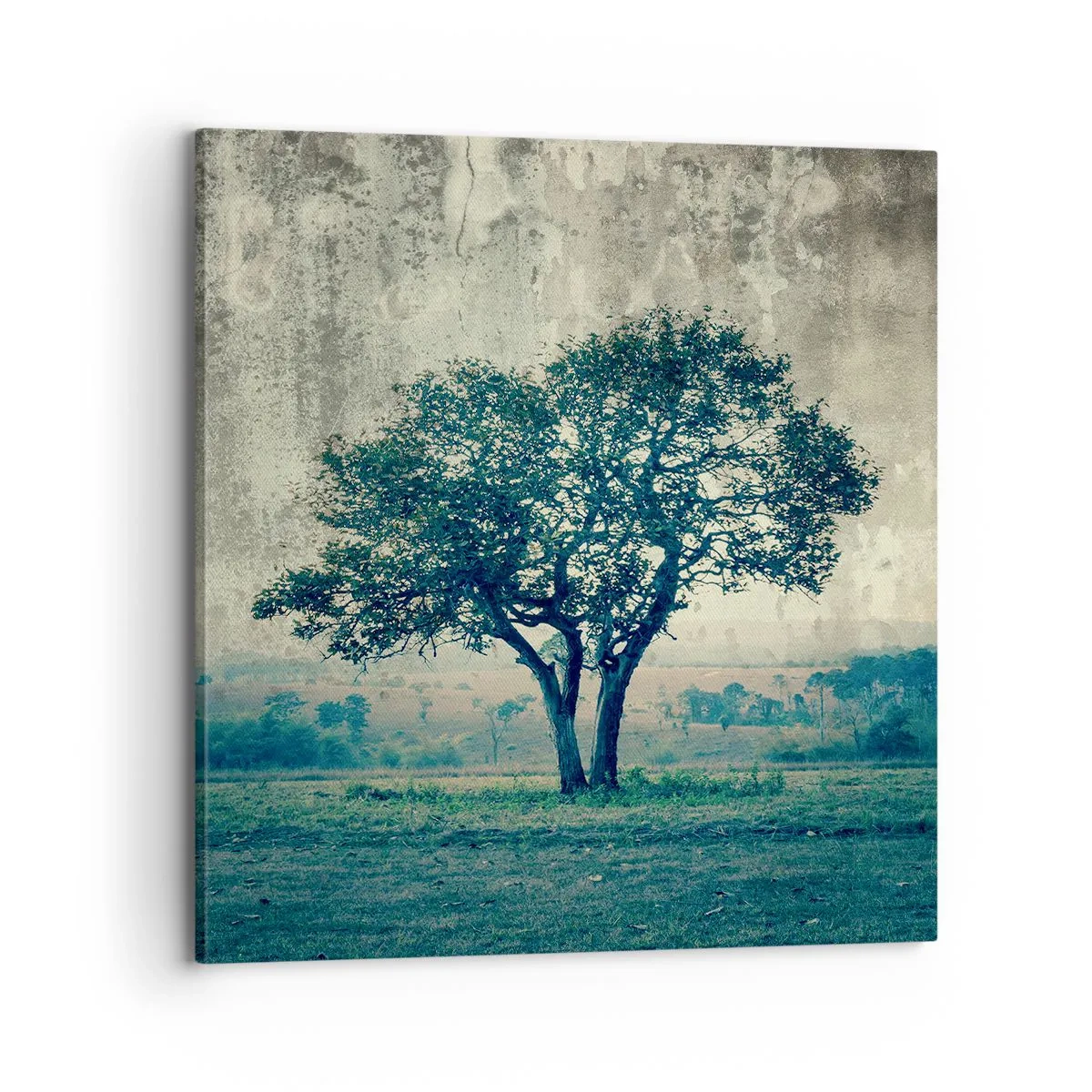 Bild auf Leinwand - Leinwandbild - Ein Apfelbaum auf blauem Feld? - 70x70 cm