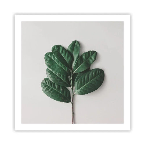 Poster - Eine Zeichnung purer Natur - 60x60 cm