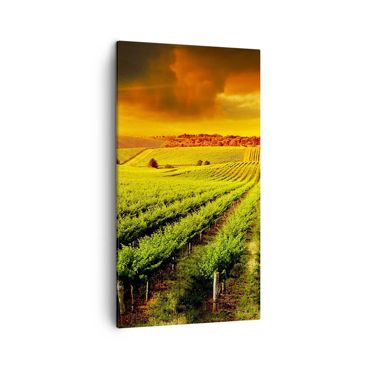 Bild auf Leinwand - Leinwandbild - Unter der australischen Sonne - 45x80 cm