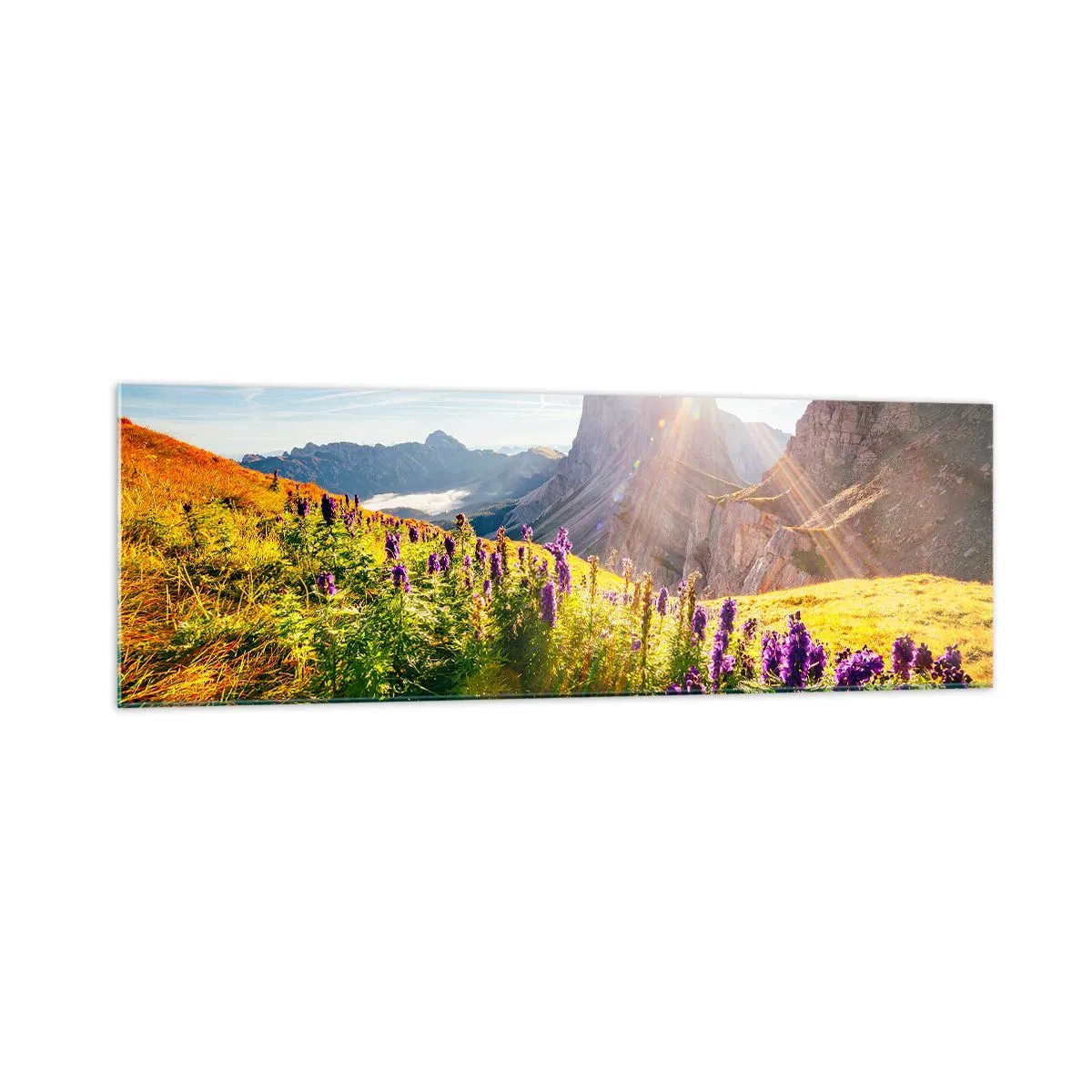 Glasbild - Bild auf glas - Berglandschaft mit Blumen im Licht der aufgehenden Sonne - 160x50cm - Das geheime Leben der Kräuter - Moderne Wanddekoration für Wohnzimmer und Schlafzimmer ARTTOR