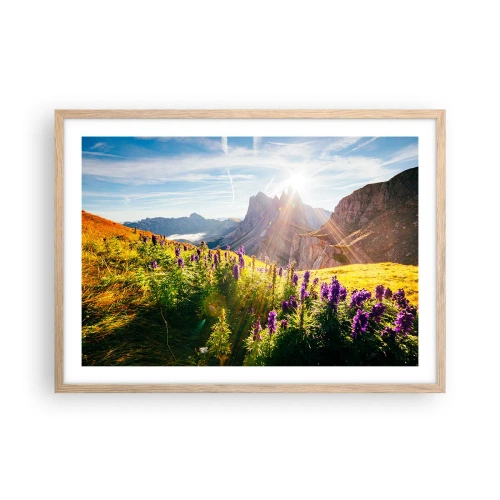 Poster in einem Rahmen aus heller Eiche - Das geheime Leben der Kräuter - 70x50 cm