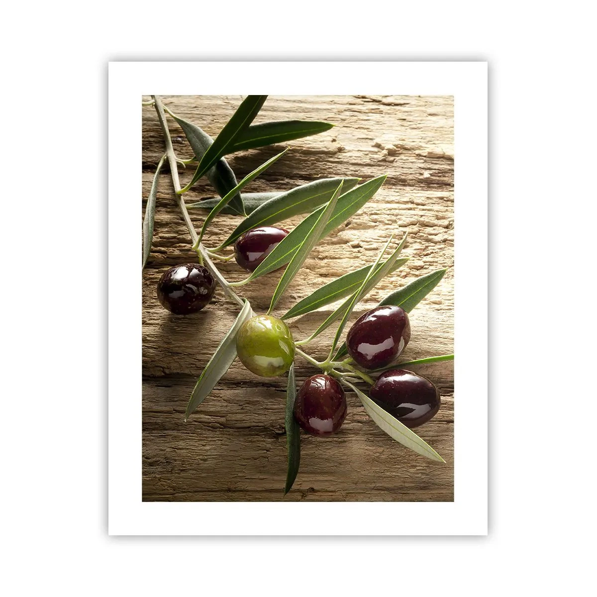 Poster - Direkt aus der Natur - 40x50 cm