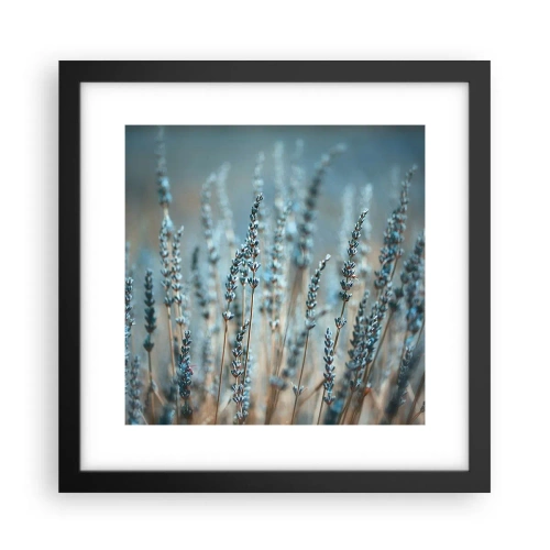 Poster in einem schwarzem Rahmen - Duftendes Kornfeld - 30x30 cm