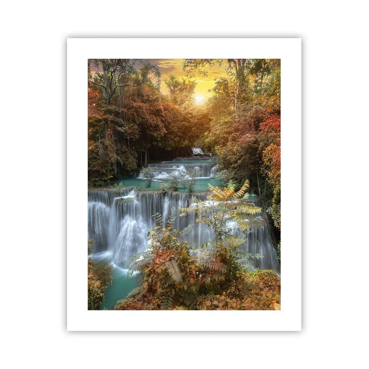 Poster - Versteckter Schatz des Waldes - 40x50 cm
