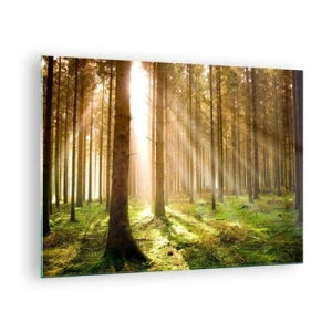 Glasbild - Bild auf glas - Sonnenstrahlen dringen durch die Bäume im Wald - 70x50cm - Die Elfen werden bald erscheinen - Moderne Wanddekoration für Wohnzimmer und Schlafzimmer ARTTOR