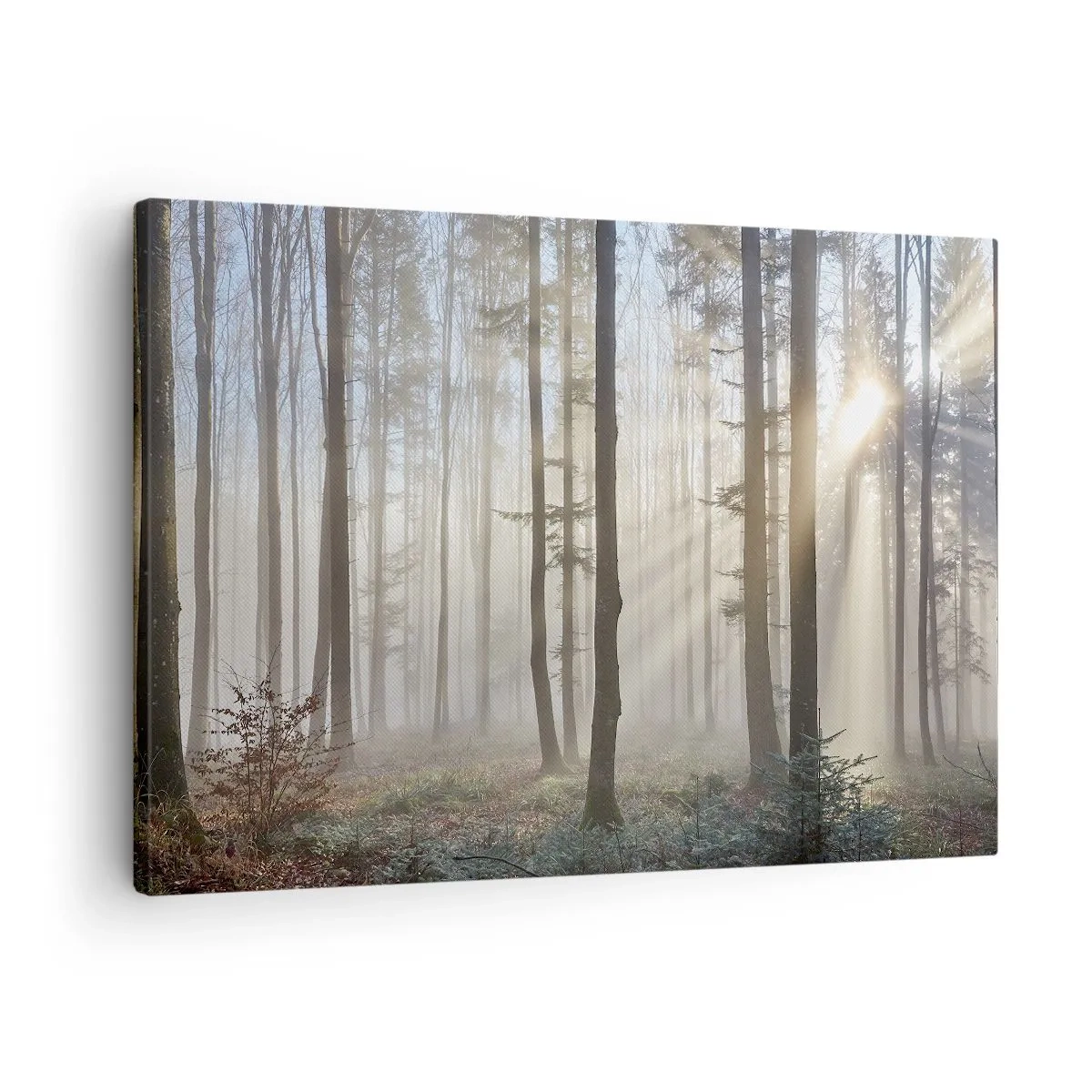 Bild auf Leinwand - Leinwandbild - Ein Wald in leichtem Nebel mit Sonnenstrahlen, die durch die Bäume scheinen - 70x50cm - Der Nebel ist auch aufgewacht - Moderne Wanddekoration für Wohnzimmer und Schlafzimmer ARTTOR