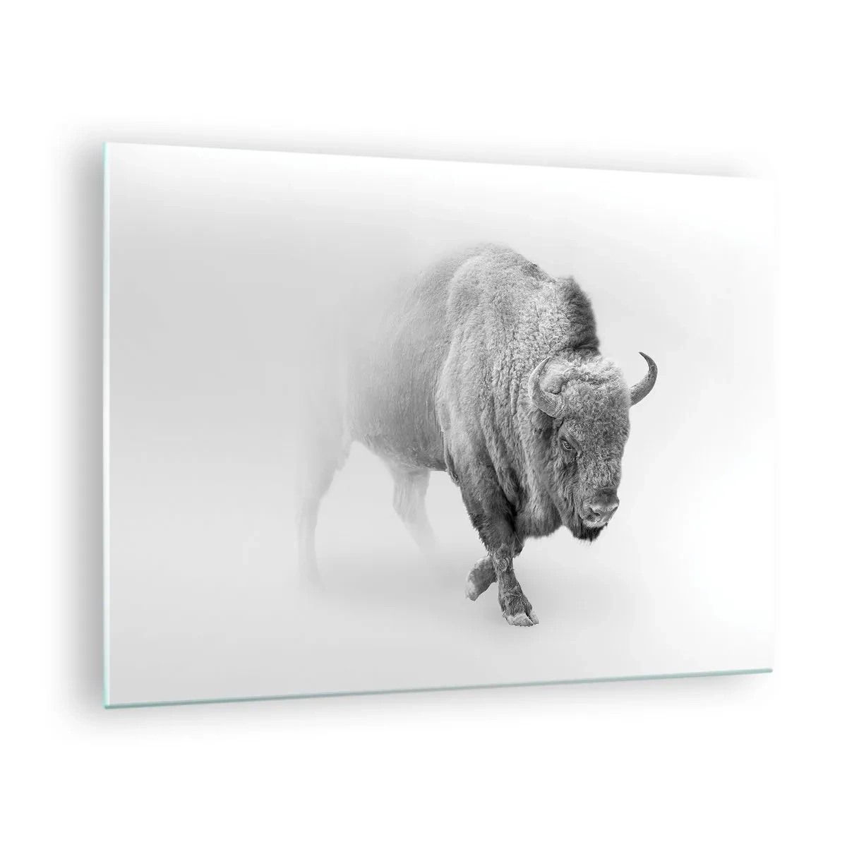 Glasbild - Bild auf glas - Schwarz-Weiß-Illustration eines majestätischen Bisons - 70x50cm - König der Prärie - Moderne Wanddekoration für Wohnzimmer und Schlafzimmer ARTTOR