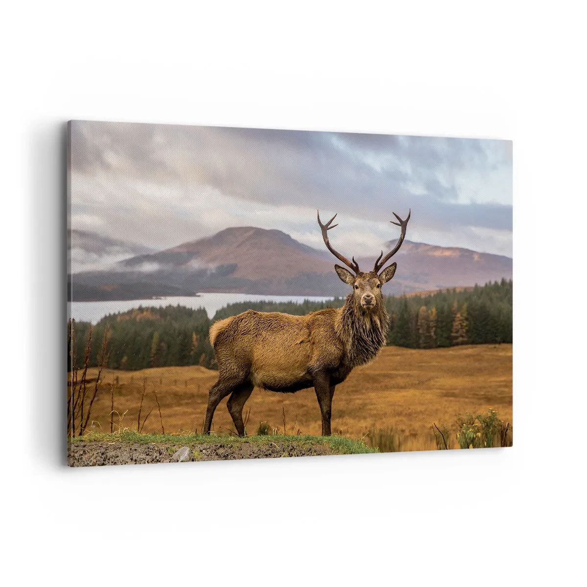 Bild auf Leinwand - Leinwandbild - Ein Hirsch vor der Kulisse einer Berglandschaft mit Seen und Wäldern - 120x80cm - Die Majestät der Natur - Moderne Wanddekoration für Wohnzimmer und Schlafzimmer ARTTOR