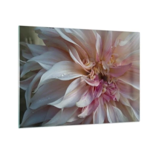 Glasbild - Bild auf glas - Nahaufnahme einer rosa und cremefarbenen Blume mit Wassertropfen - 70x50cm - Blühende Frische - Moderne Wanddekoration für Wohnzimmer und Schlafzimmer ARTTOR