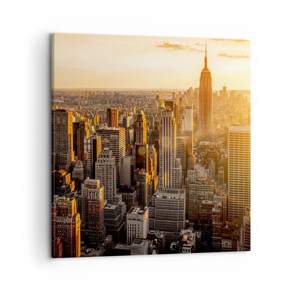 Bild auf Leinwand - Leinwandbild - In der Sonne wachsen - 50x50 cm