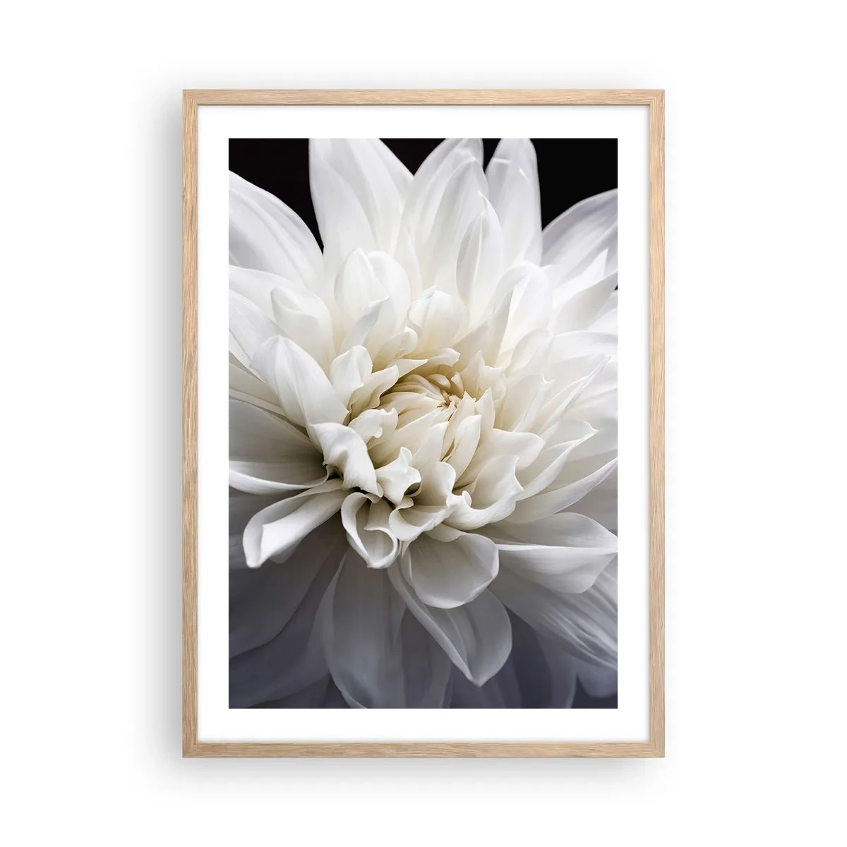 Poster in einem Rahmen aus heller Eiche - Der Morgen der Braut - 50x70 cm