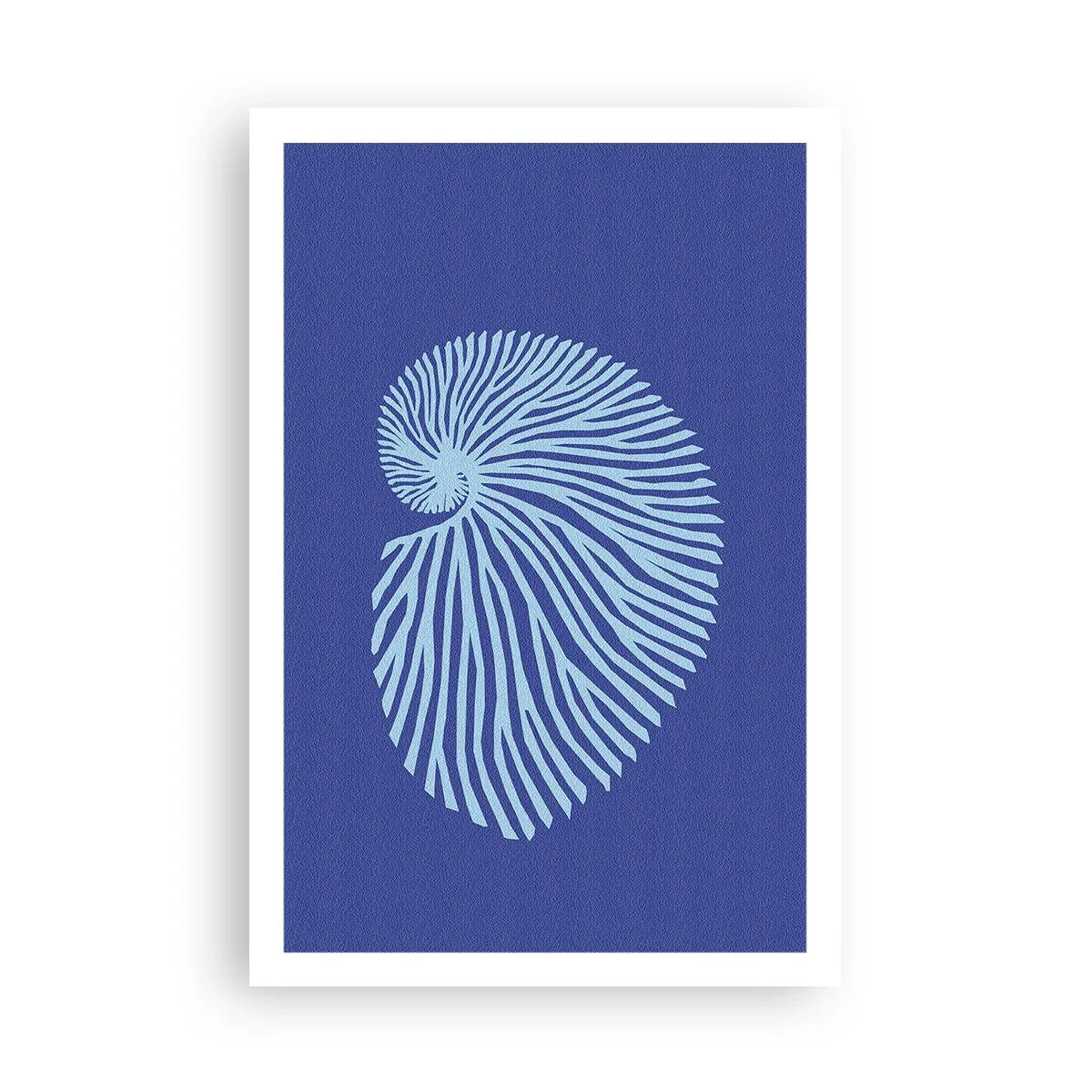 Poster - Geburt der Muschel - 61x91 cm