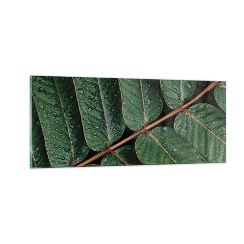 Glasbild - Bild auf glas - Im grünen Rhythmus - 100x40 cm