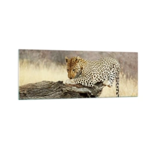 Glasbild - Bild auf glas - Ein Leopard ruht auf einem Baumstamm in der Savanne - 140x50cm - Ich gehe meine eigenen Wege - Moderne Wanddekoration für Wohnzimmer und Schlafzimmer ARTTOR