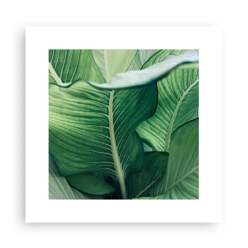 Poster - Intensiv grünes Leben - 30x30 cm