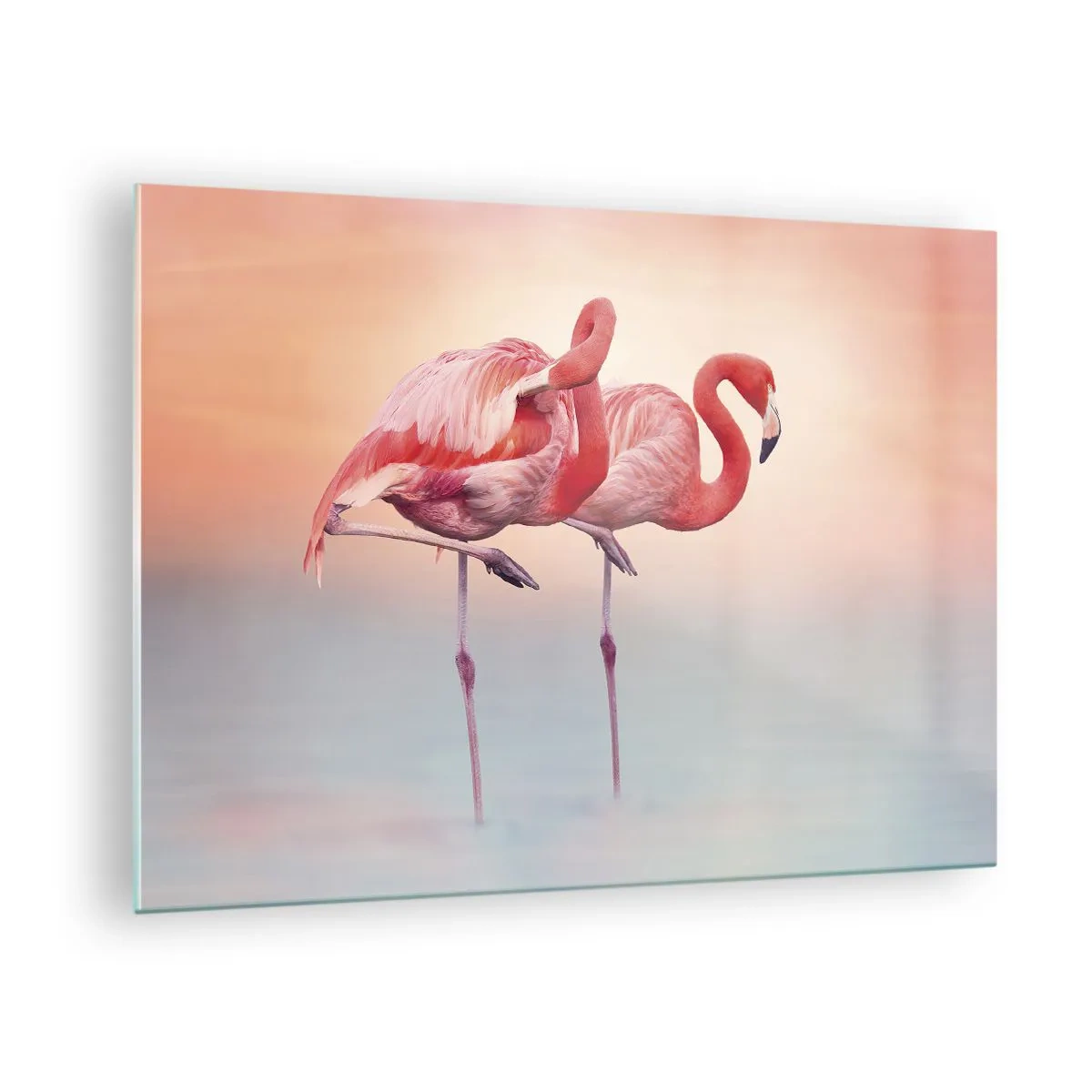 Glasbild - Bild auf glas - Zwei Flamingos stehen im Wasser vor einem pastellfarbenen Sonnenuntergangshintergrund - 70x50cm - Die Farbe der untergehenden Sonne - Moderne Wanddekoration für Wohnzimmer und Schlafzimmer ARTTOR