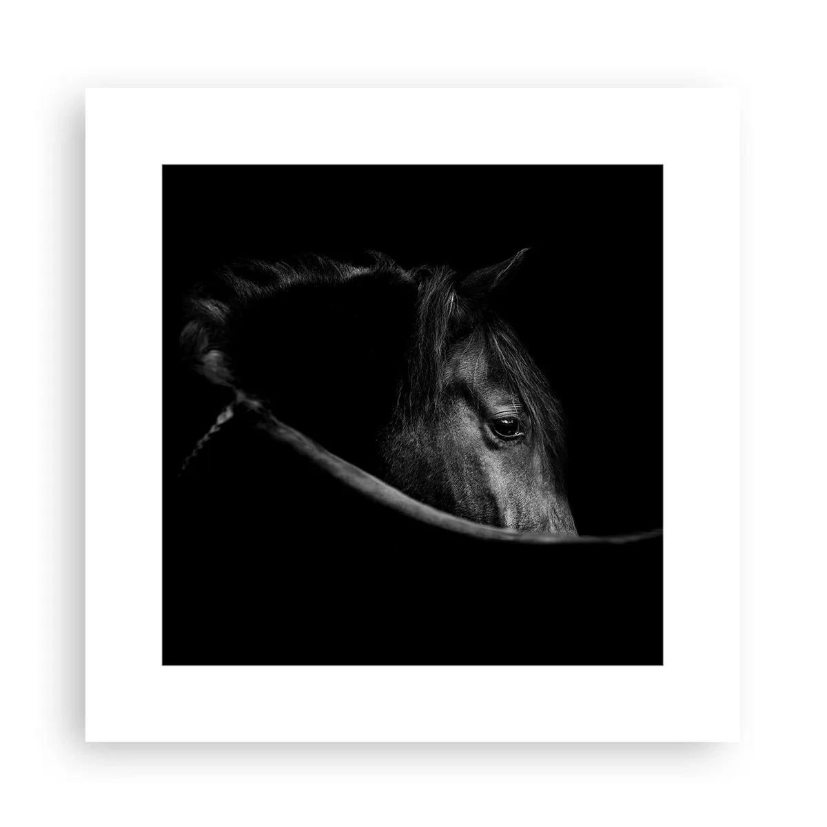 Poster - Schwarzer Prinz - 30x30 cm