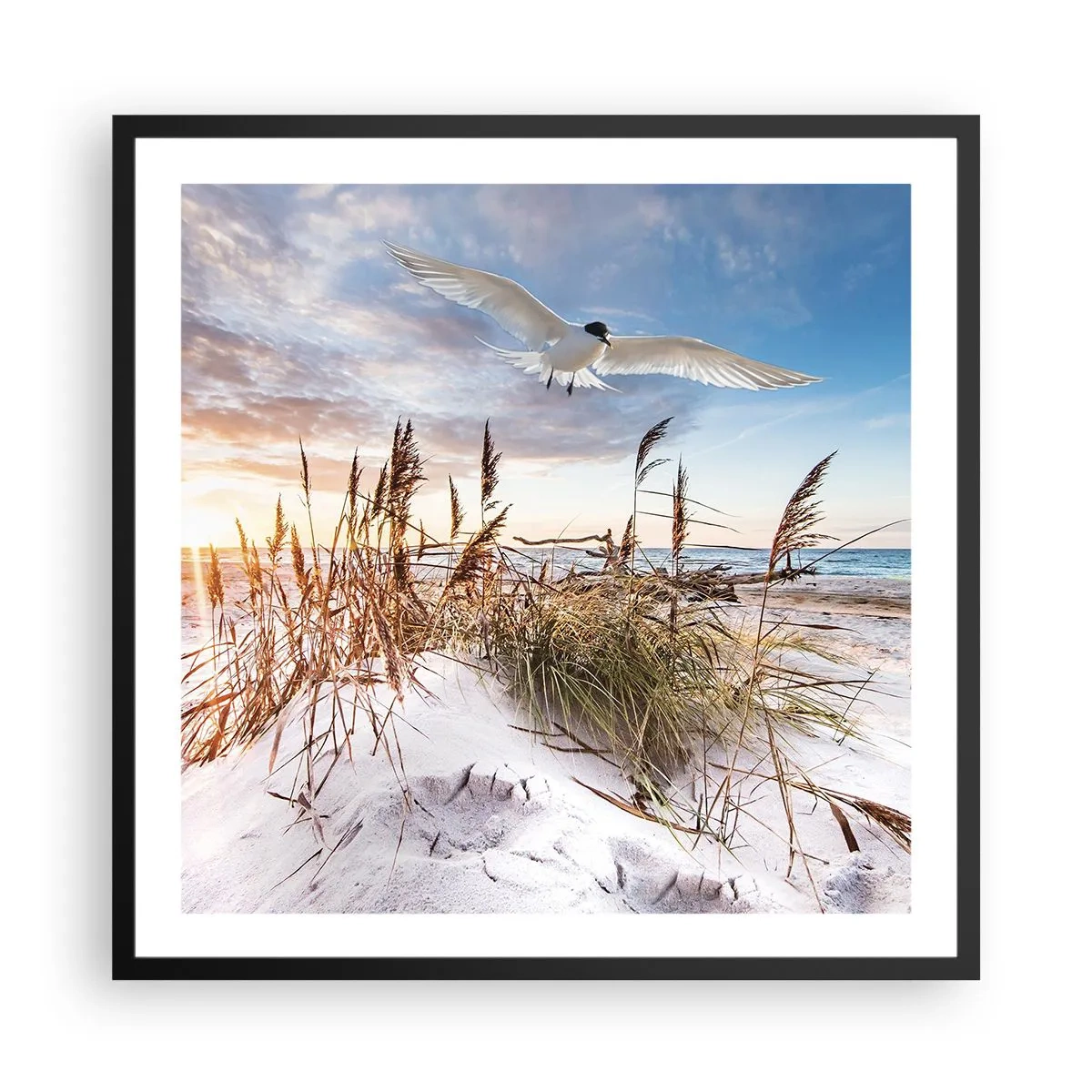 Poster in einem schwarzem Rahmen - Wind vom Meer - 60x60 cm