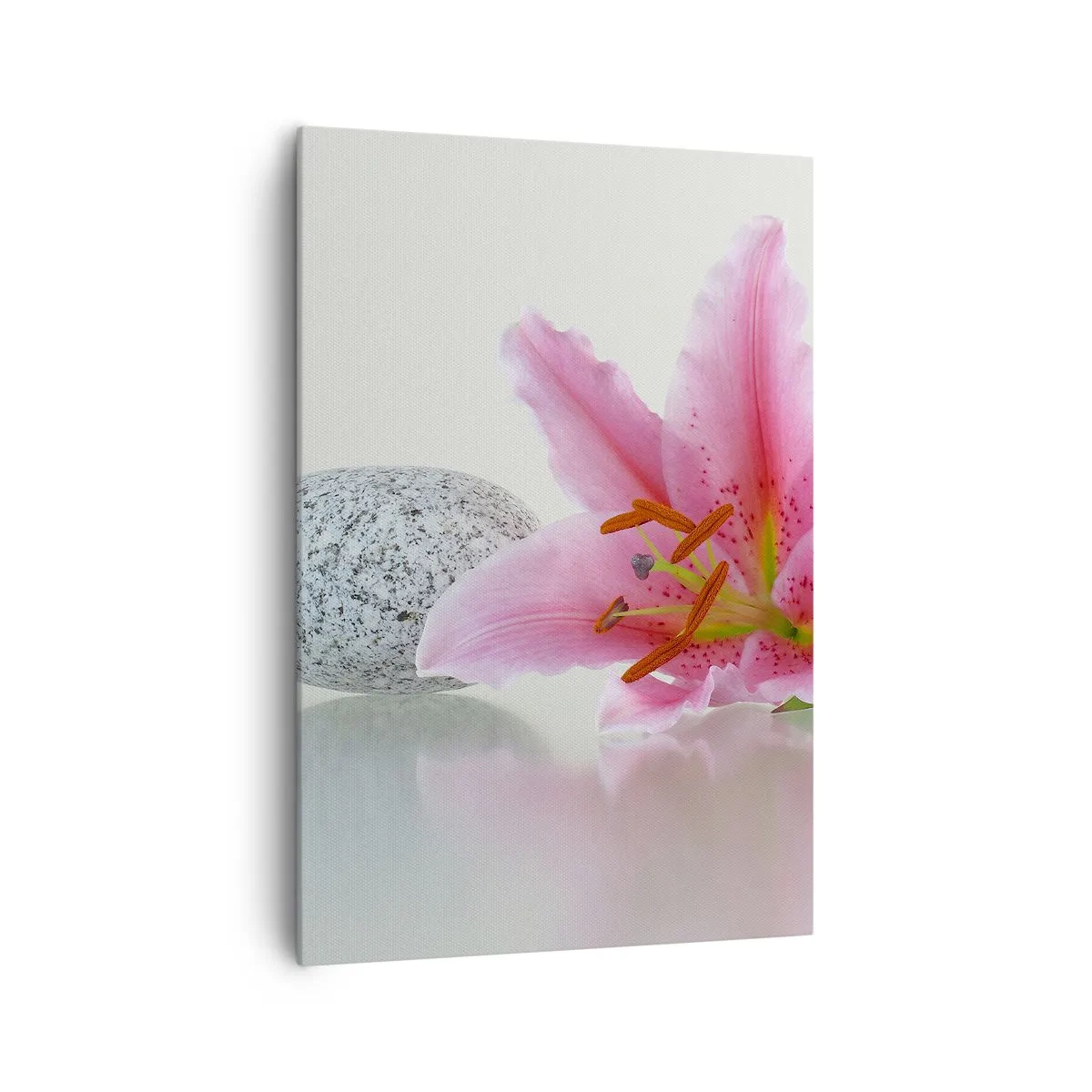 Bild auf Leinwand - Leinwandbild - Rosa Lilienblüte mit Steinen auf hellem Hintergrund - 70x100cm - Eine Studie in Pink, Grau und Weiß - Moderne Wanddekoration für Wohnzimmer und Schlafzimmer ARTTOR