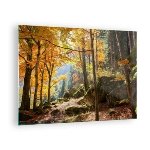 Glasbild - Bild auf glas - Herbstwald mit Sonnenstrahlen und Steinen - 70x50cm - Zeit zum Entspannen - Moderne Wanddekoration für Wohnzimmer und Schlafzimmer ARTTOR