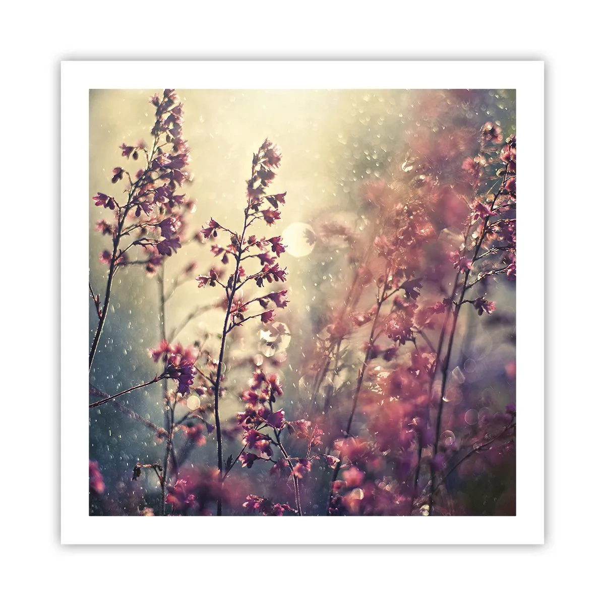 Poster - Geheimnisvoller Garten - 60x60 cm