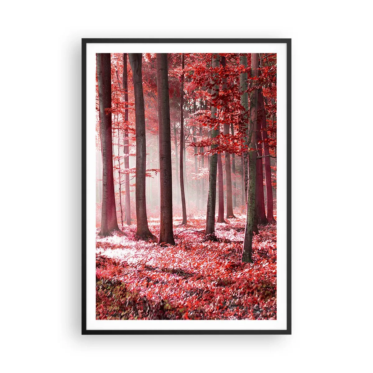 Poster in einem schwarzem Rahmen - Rot ist genauso schön - 70x100 cm