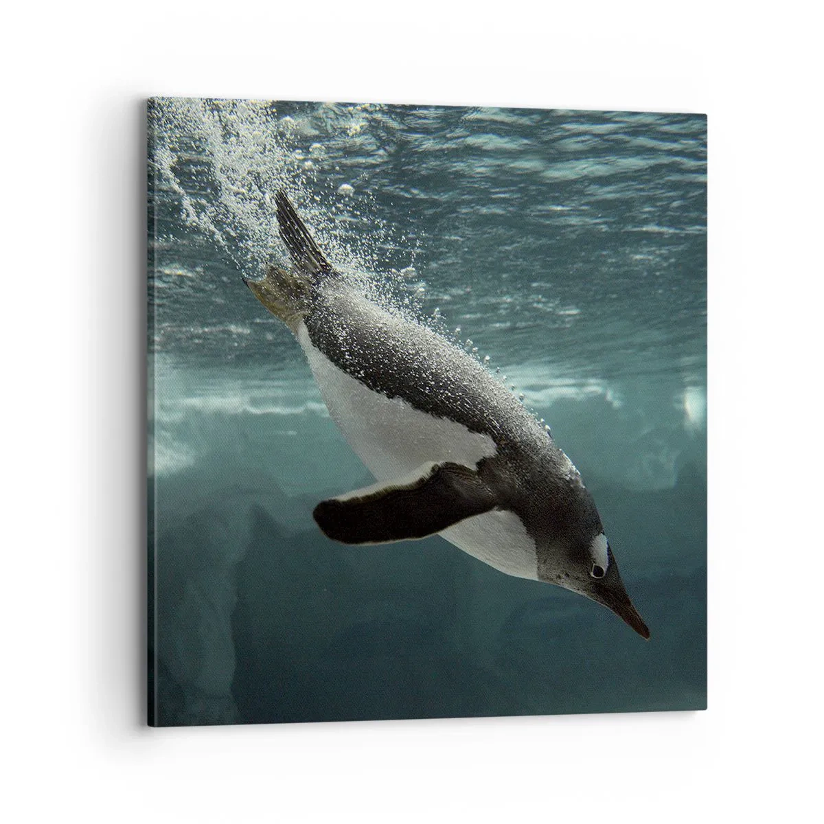 Bild auf Leinwand - Leinwandbild - Willkommen in meiner Welt - 70x70 cm