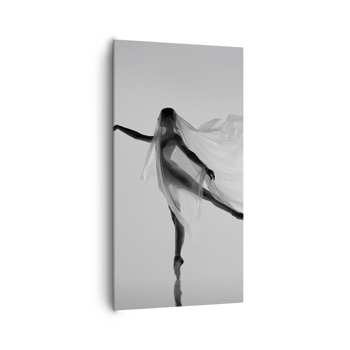 Bild auf Leinwand - Leinwandbild - Leichtigkeit und Anmut - 65x120 cm