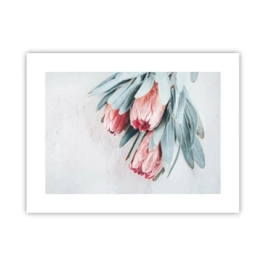 Poster - Schämen sich für ihre eigene Schönheit - 40x30 cm