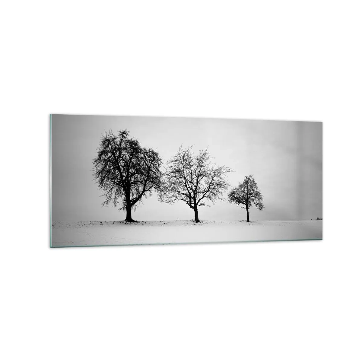 Glasbild - Bild auf glas - Drei Bäume auf einem schneebedeckten Feld im monochromen Stil - 120x50cm - Wovon träumen sie? - Moderne Wanddekoration für Wohnzimmer und Schlafzimmer ARTTOR