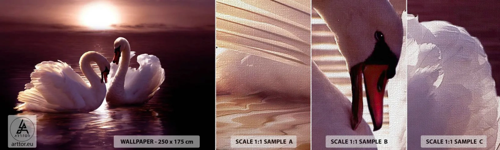 Fototapeten Muster Premium Canvas - Bis der Tod uns scheidet - Tiere, Landschaft, Schwäne - 100x30 cm