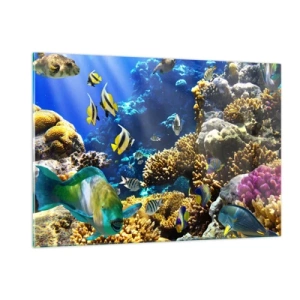 Glasbild - Bild auf glas - Korallenriff mit bunten Fischen und Unterwasserlicht - 120x80cm - Viel Verkehr auf dem Ferienweg - Moderne Wanddekoration für Wohnzimmer und Schlafzimmer ARTTOR