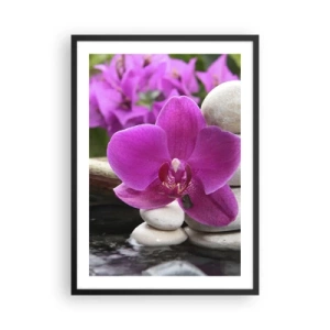 Poster in einem schwarzem Rahmen - Eine violette Orchidee vor einem Hintergrund aus Steinen in harmonischer Anordnung - 50x70cm - Du ruhst dich schon aus - Moderne Wanddekoration für Wohnzimmer und Schlafzimmer ARTTOR