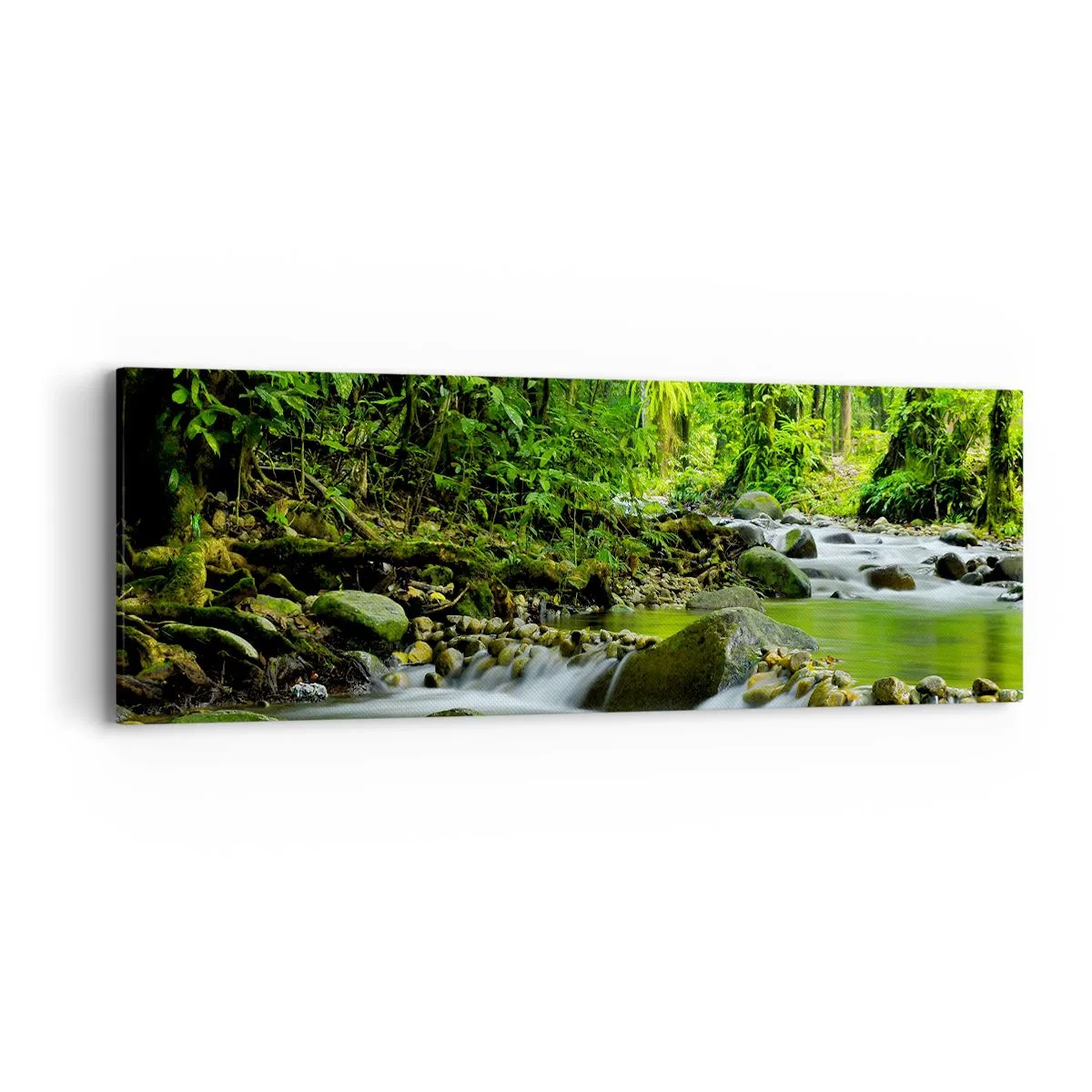 Bild auf Leinwand - Leinwandbild - Schwimmen Sie in einem Meer aus Grün - 90x30 cm