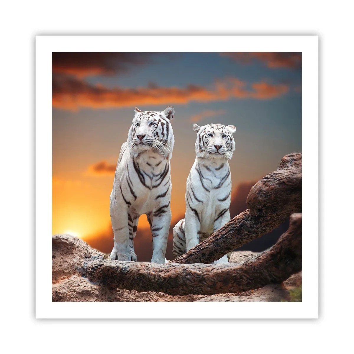 Poster - Genau wie Narnia - 60x60 cm