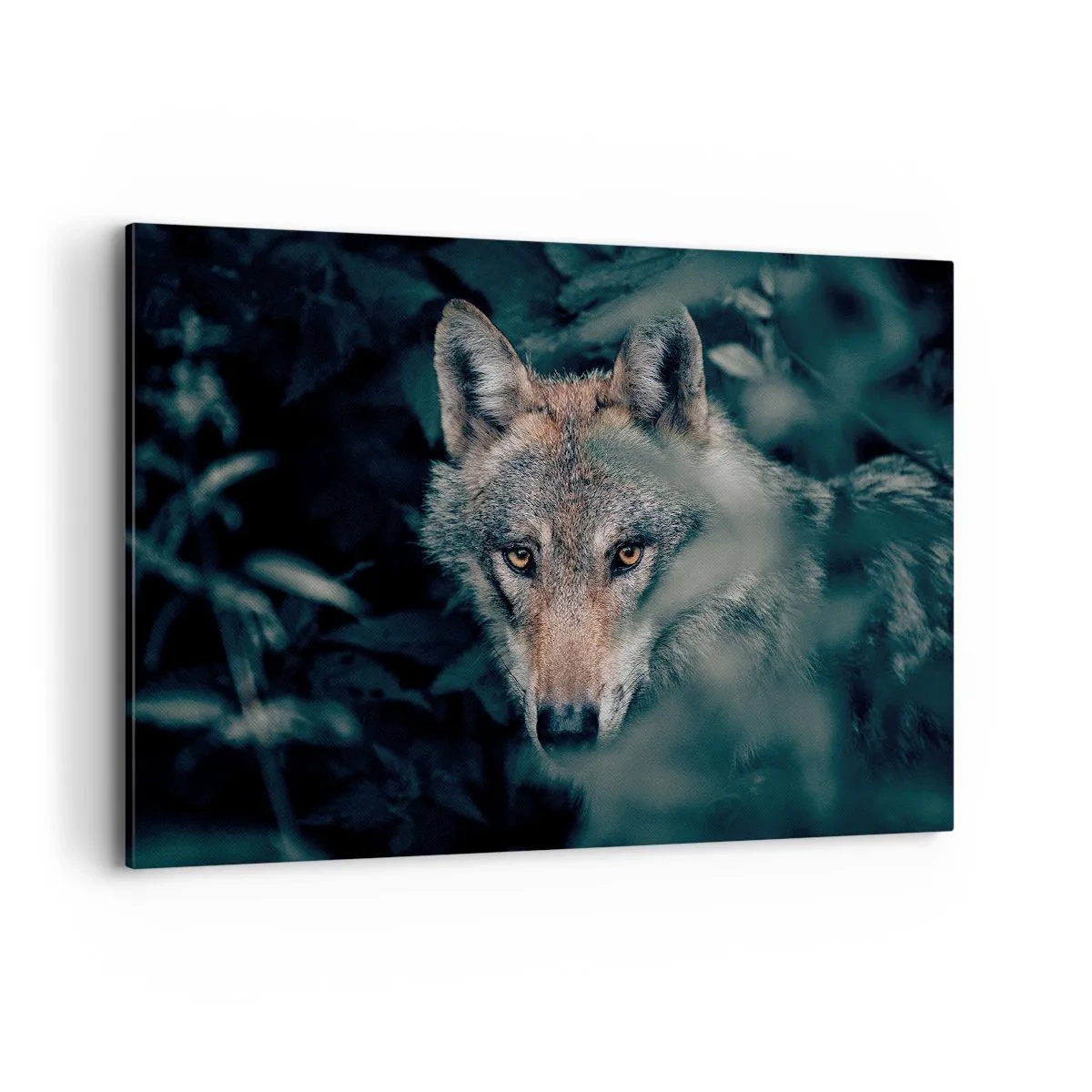 Bild auf Leinwand - Leinwandbild - Ein Wolf in seiner natürlichen Umgebung, der aus den Tiefen des Waldes hervorschaut. - 120x80cm - Jäger - Moderne Wanddekoration für Wohnzimmer und Schlafzimmer ARTTOR
