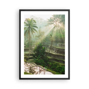 Poster in einem schwarzem Rahmen - Tropische Landschaft mit Reisterrassen und Sonnenschein - 50x70cm - In der Sonne aufwachsen - Moderne Wanddekoration für Wohnzimmer und Schlafzimmer ARTTOR