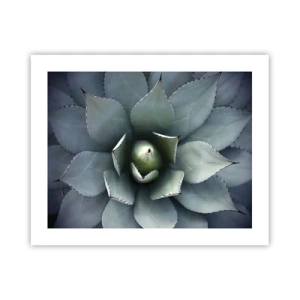 Poster - Es lockt an und warnt - 50x40 cm