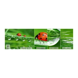 Fototapeten Muster Selbstklebend Deluxe Sticker - Den ganzen Sommer unterwegs - Marienkäfer, Ein Wassertropfen, Natur - 100x30 cm