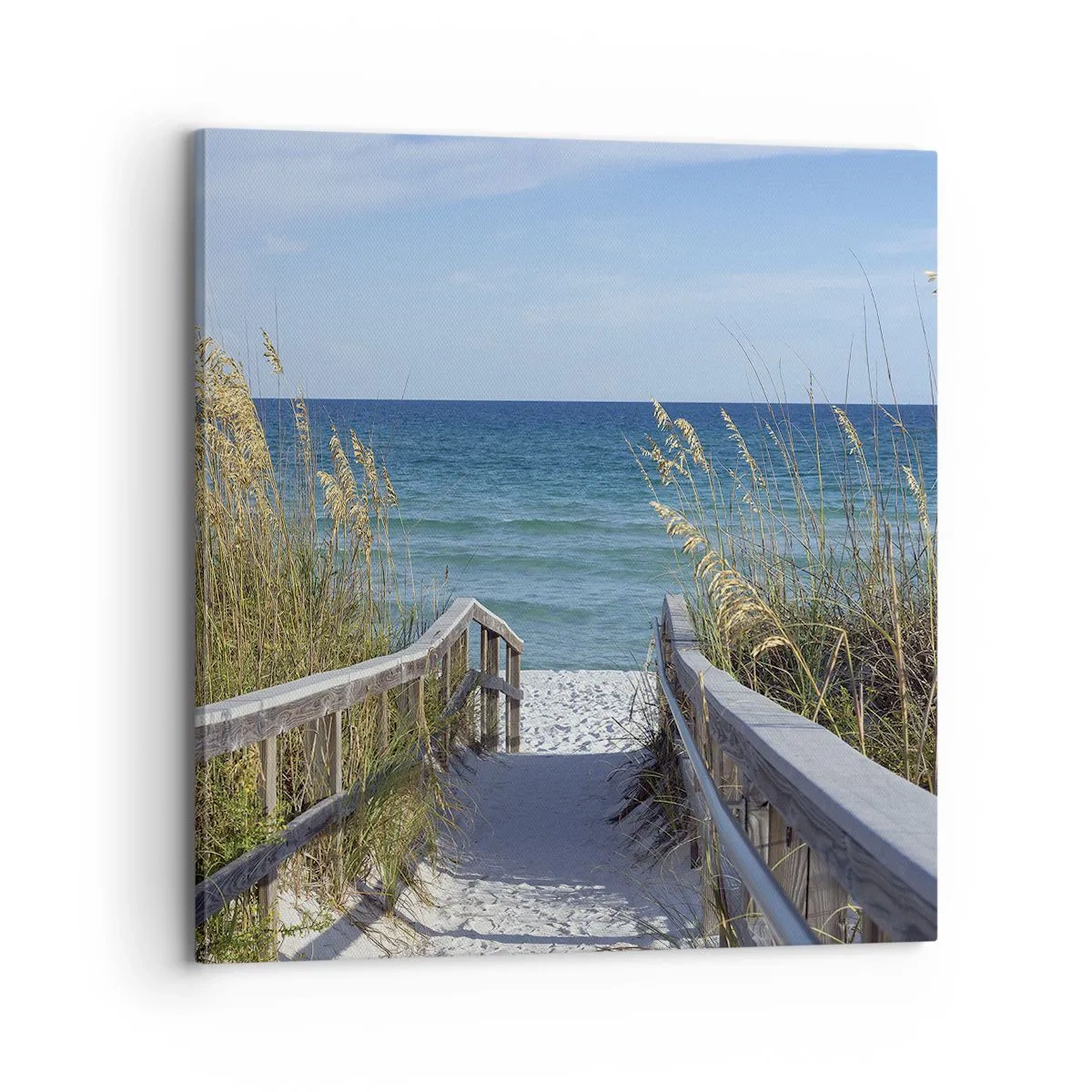 Bild auf Leinwand - Leinwandbild - In der Sonne, im Wind - 70x70 cm