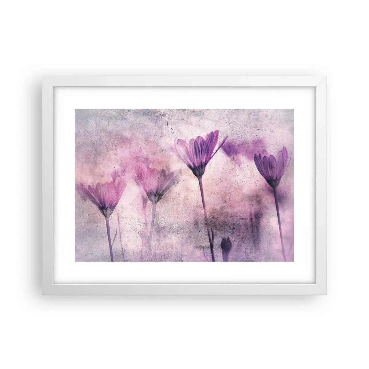 Poster in einem weißen Rahmen - Ein Blumentraum - 40x30 cm