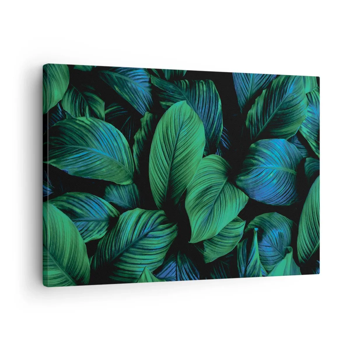 Bild auf Leinwand - Leinwandbild - Grüne Blätter im minimalistischen Stil - 70x50cm - In der grünen Menge - Moderne Wanddekoration für Wohnzimmer und Schlafzimmer ARTTOR
