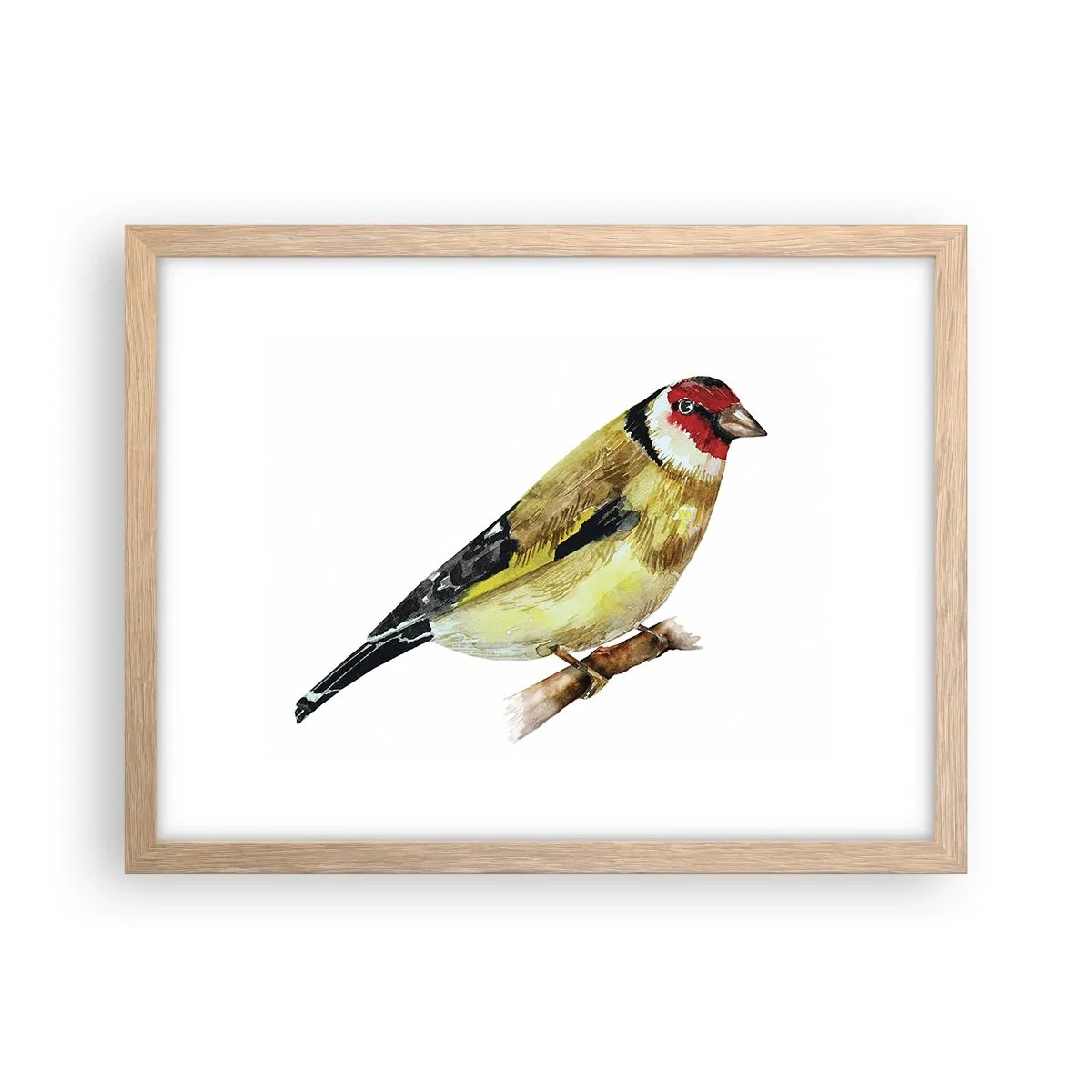 Poster in einem Rahmen aus heller Eiche - Vogelporträt - 40x30 cm