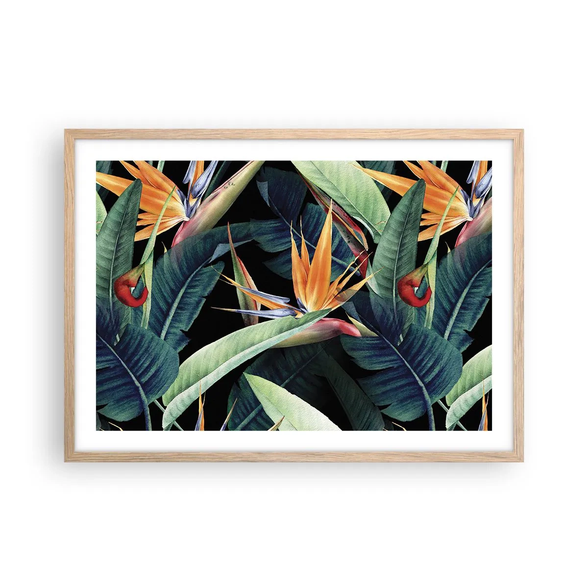 Poster in einem Rahmen aus heller Eiche - Flammende Blumen der Tropen - 70x50 cm