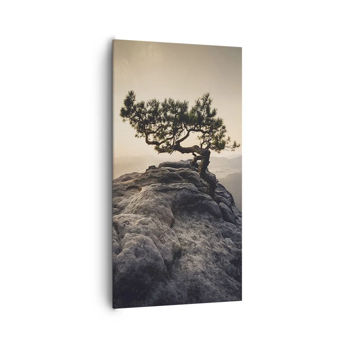 Bild auf Leinwand - Leinwandbild - Das Leben gewinnt immer - 65x120 cm