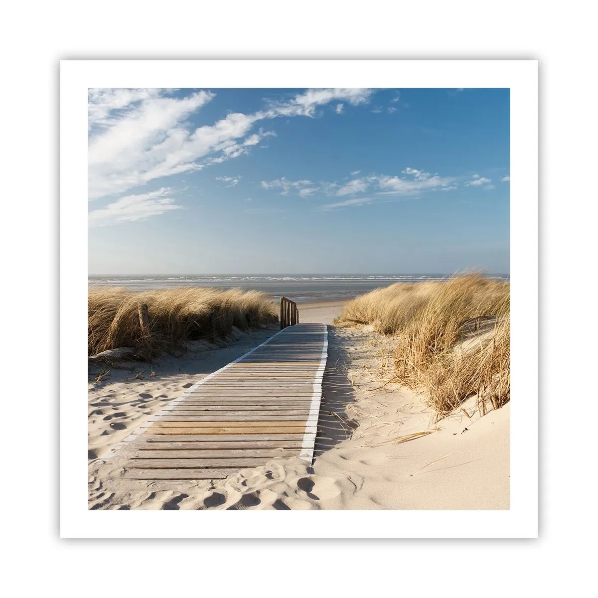 Poster - Hinter der Düne, im Rauschen des Grases - 60x60 cm